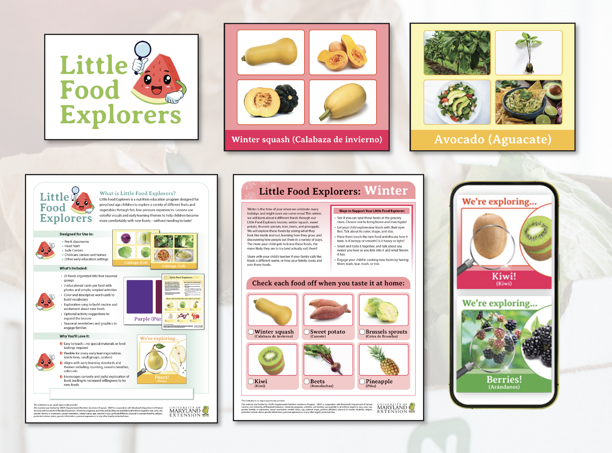 Little Food Explorers
