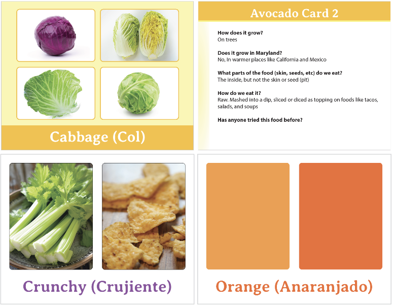 Curriculum items