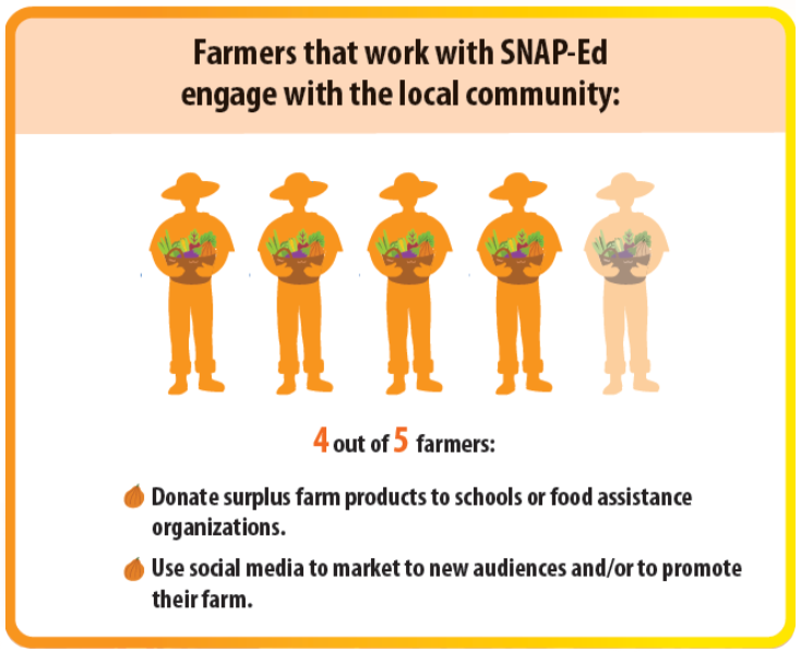 Infographic example