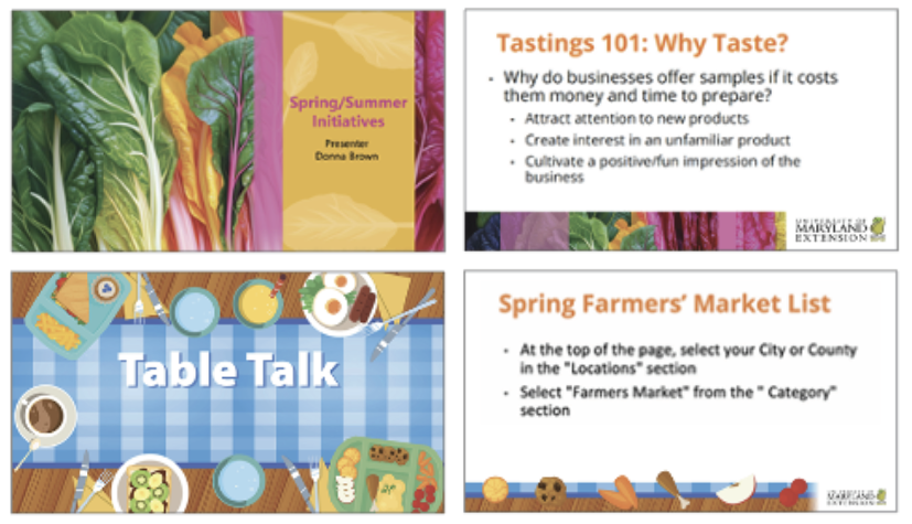 PPT Presentation Examples